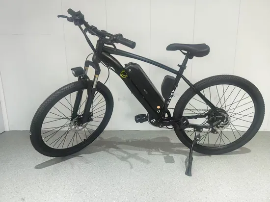 Komfortables elektrisches Cruiser-Bike für Strand- und Parkabenteuer