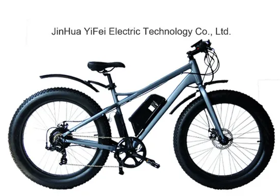 Hochleistungs-26-Zoll-Beachcruiser-Fat-Tire-Elektrofahrrad mit Lithiumbatterie