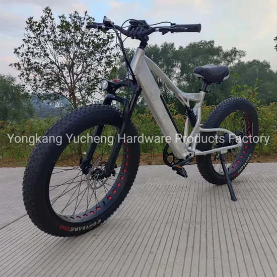 Heißer Verkauf 26 Zoll Mountain Fat Tire Beach Cruiser Elektrofahrrad 500W/750W