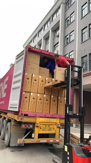 20 Zoll Fat Tire Faltbares Elektrofahrrad Beach Cruiser