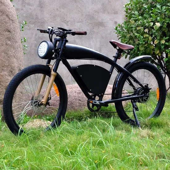 Cafe Racer 500W Martin Racing 750W Beach Cruiser Vintage Fat E Bike