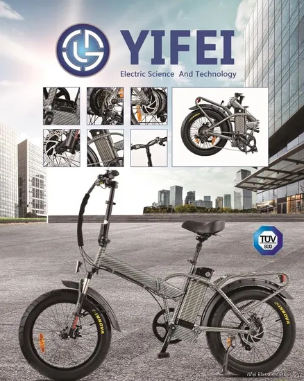 20 Zoll Fat Tire 48V 750W Beach Cruiser Elektrofahrrad