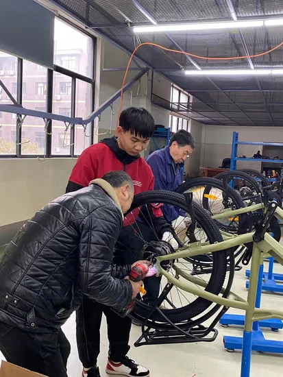 High Power 26 Zoll Snow Beach Cruiser Fat Elektrofahrrad Elektrofahrrad