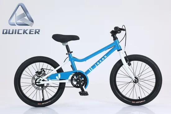 OEM Al Alloy Frame Snow Beach Cruiser Retro Elektrofahrrad 750W 1000W Fat Tire Elektrofahrrad