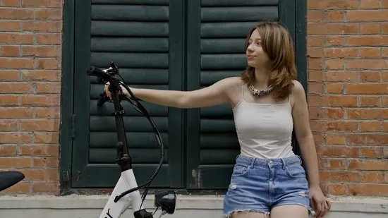 20 Zoll lange Reichweite Faltbares Urban Beach Cruiser Faltbares Elektrofahrrad für Erwachsene