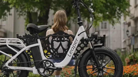 20 Zoll Big Tire Hydraulische Scheibenbremse Zentralsteuerung Beach Cruiser Elektrofahrrad