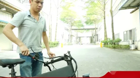 20 Zoll versteckte Batterie Fat Tire Beach Cruiser Elektrofahrrad