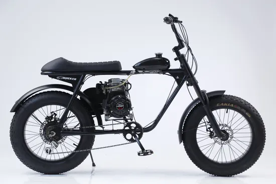 Queene/Hochwertiges 20 Zoll 750W Fat Tire Folding Ebike Beach Cruiser Snow Elektrofahrrad