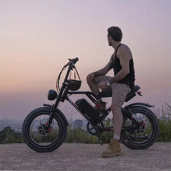 USA Lager 1000W 17,5ah 20